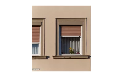 Volet Roulant Éléctrique à Moulismes (Achat Et Montage)
