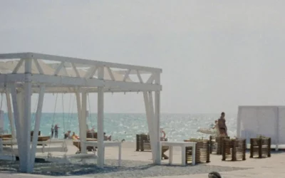 Pergolas à Bourg-Archambault (Achat Et Montage)