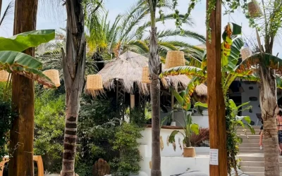 Pergolas à Chauvigny (Achat Et Installation)