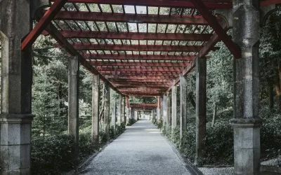 Pergolas à Confolens (Achat Et Mise En Place)